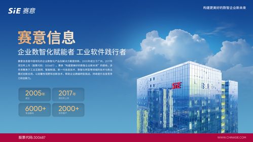 賽意信息入選2024行業(yè)軟件企業(yè)活力與服務(wù)力Top30，彰顯北京信息技術(shù)咨詢服務(wù)實(shí)力